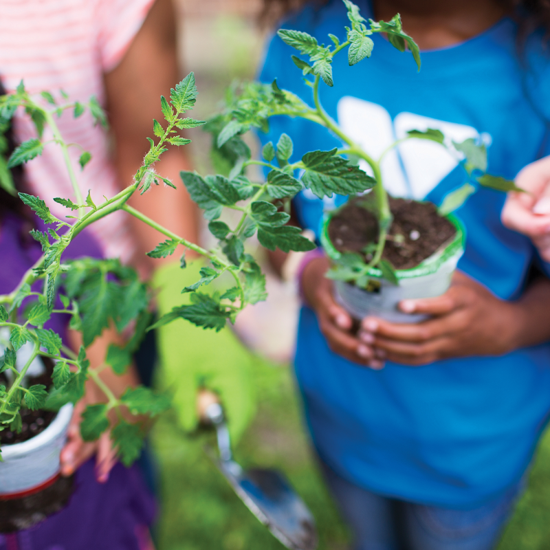 two people holding plants 