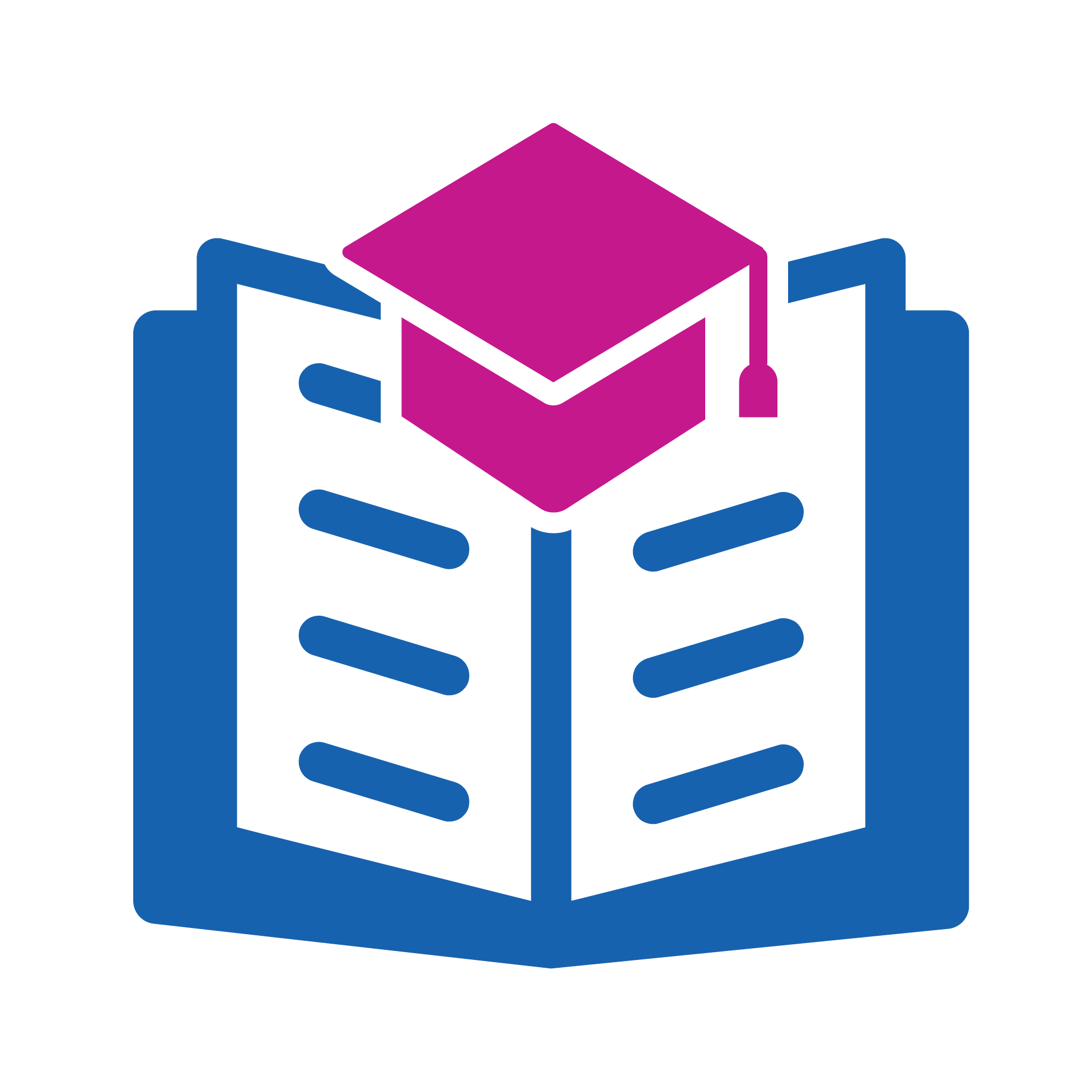 Importance Icon