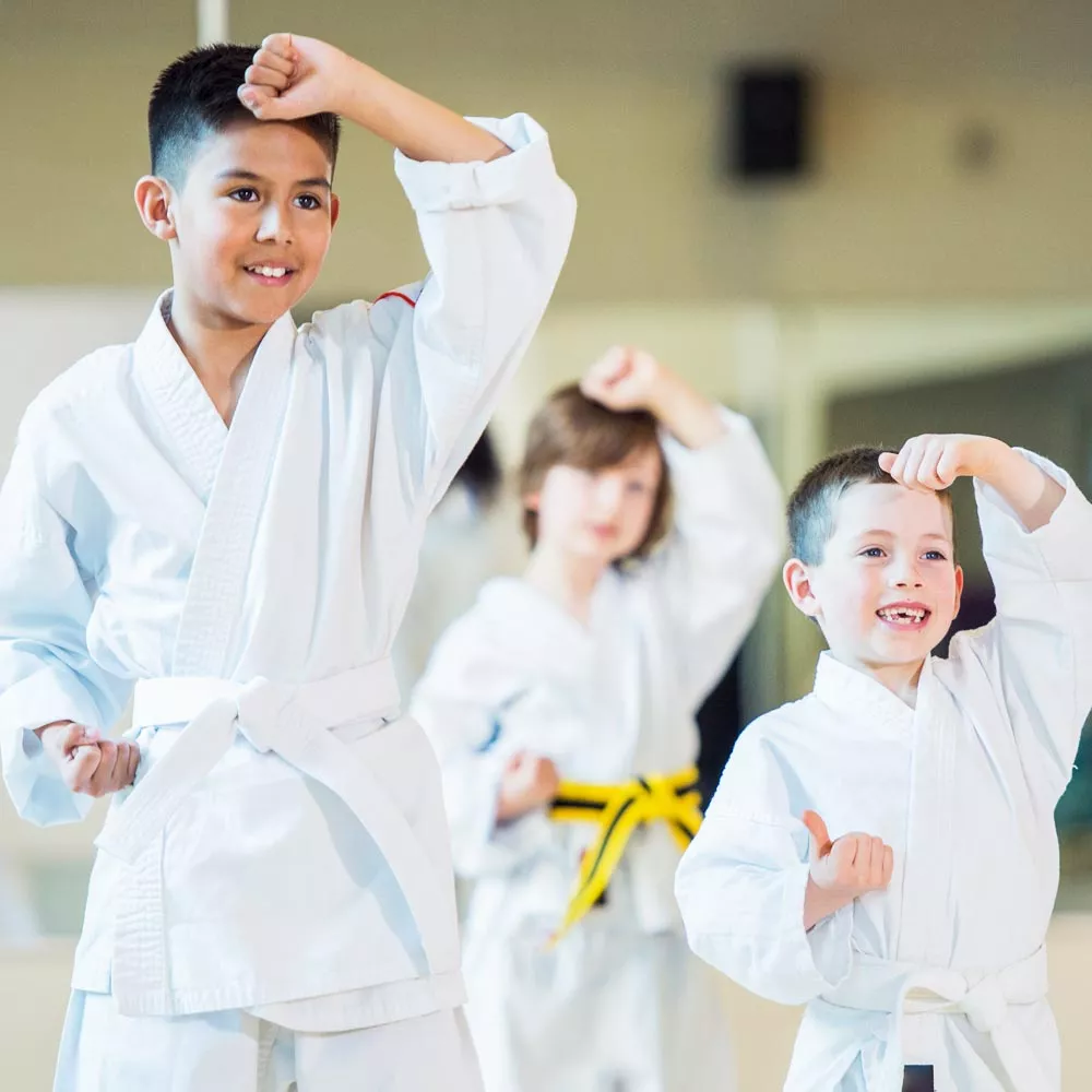 Martial Arts