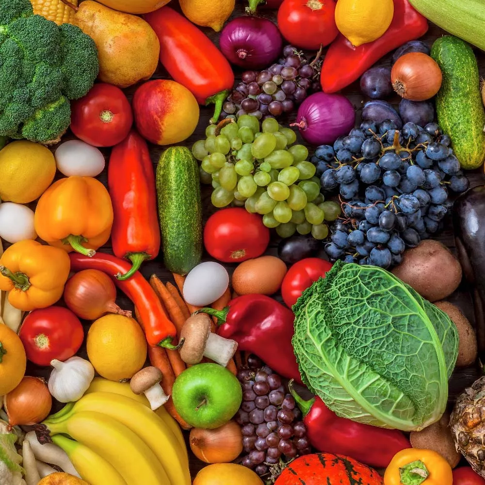 Healthy Recipes