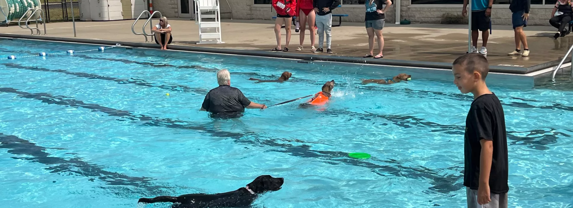 Dogs swimming in the YMCA outdoor pool