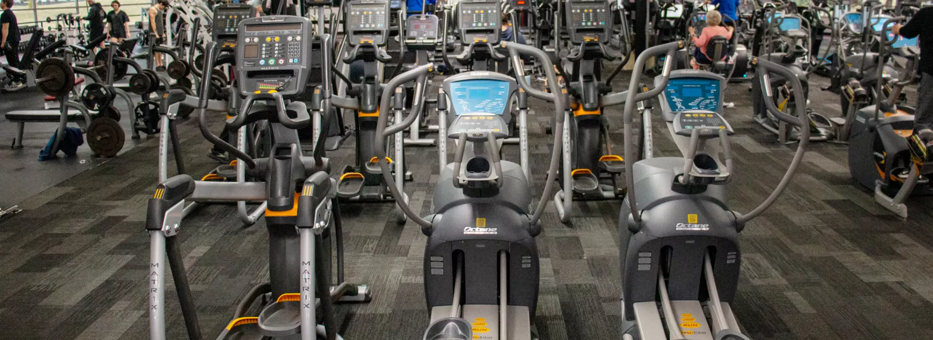 cardio equipment