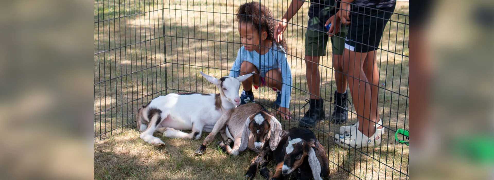 Grove City Fun Day 2025